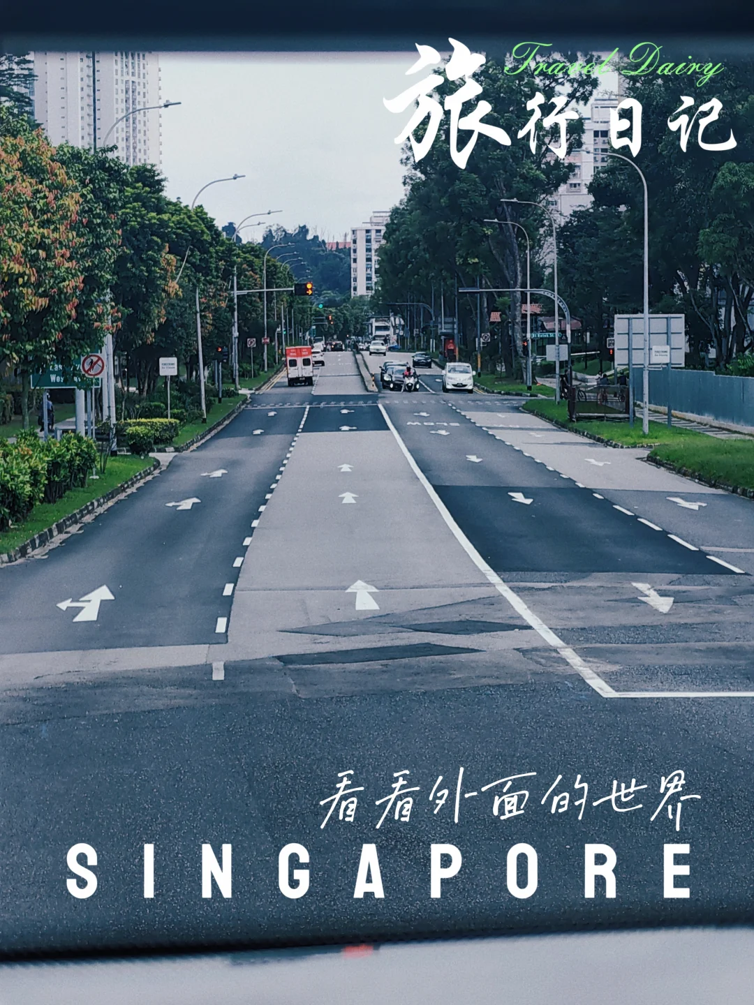 🇸🇬这趟新加坡旅行，终于走出来了……