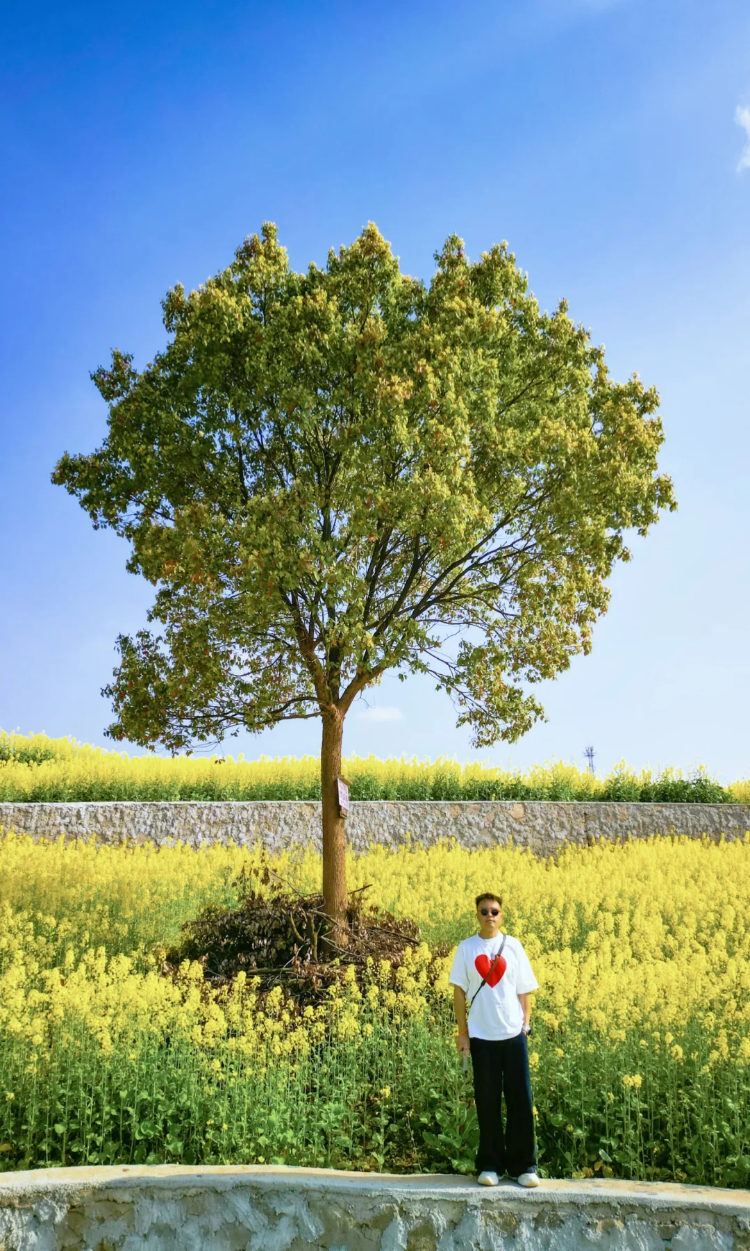寨山坪的油菜花盛花期已到💯🌈‼️