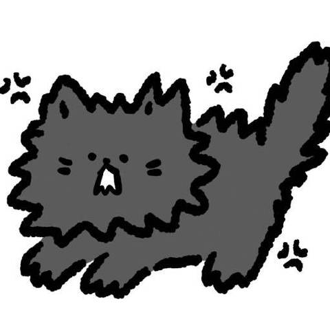 黑猫聊情感