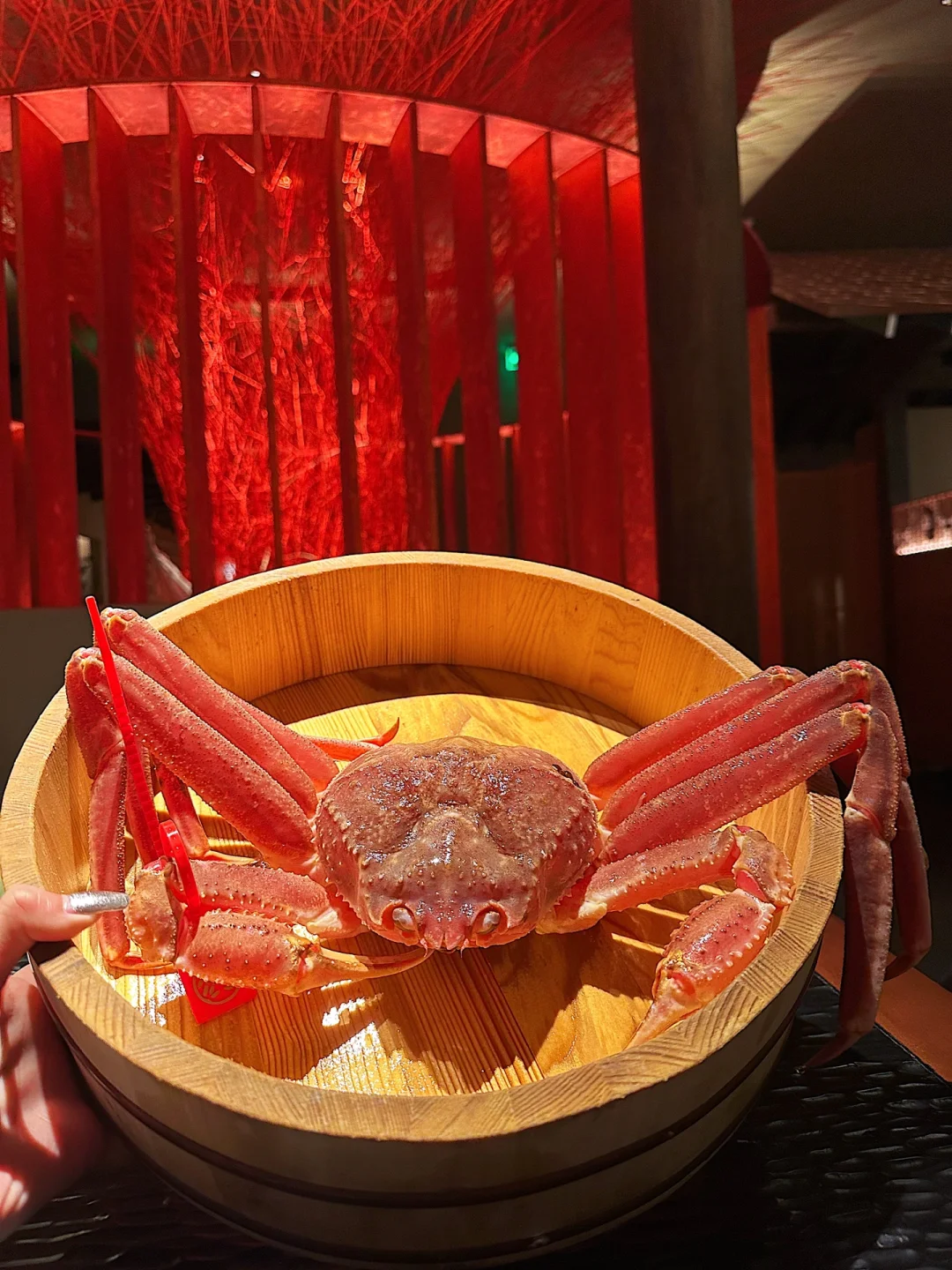 不愧是周扬青吃过的蟹道🔥有钱我天天来吃