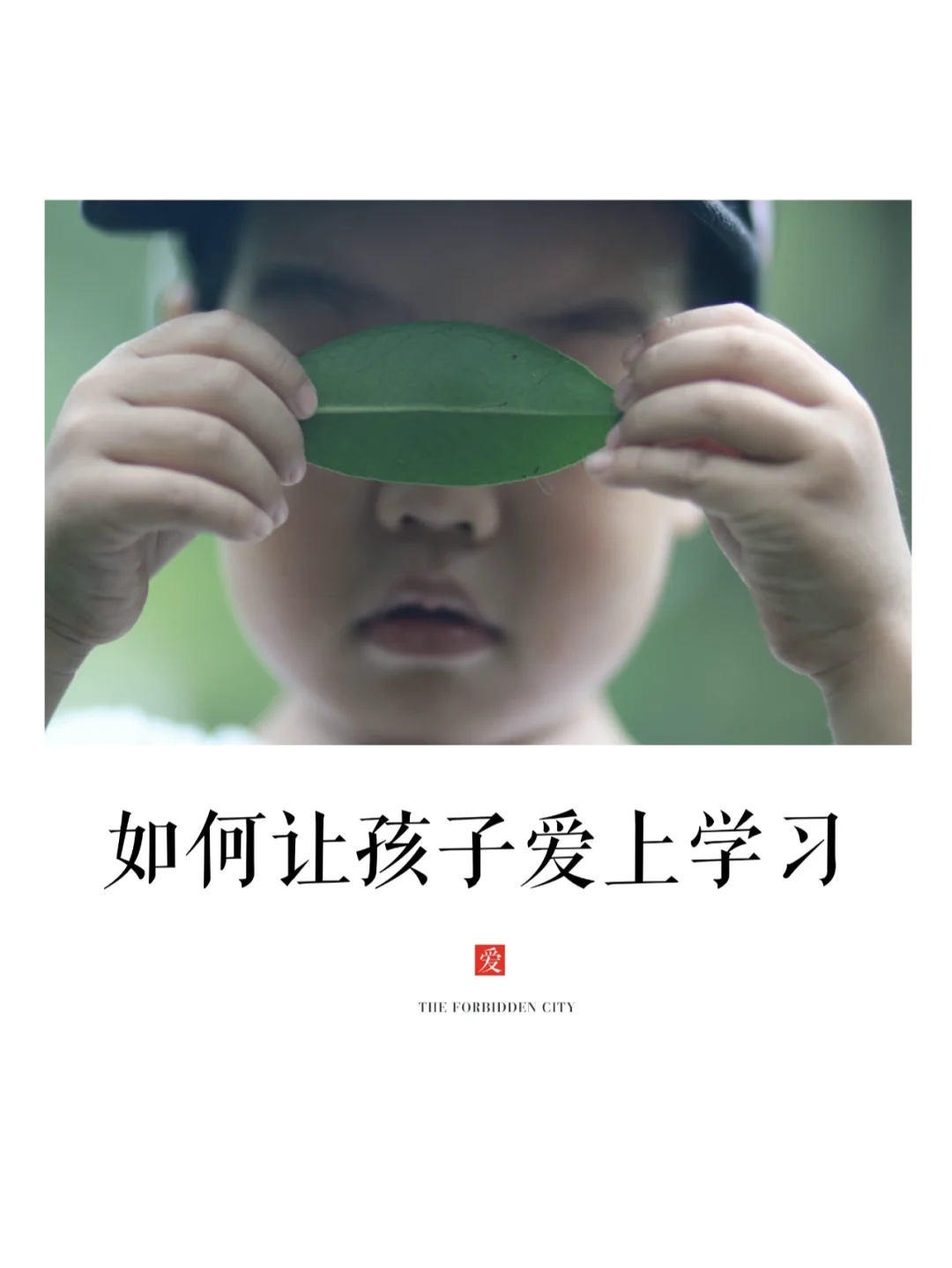 关于学习|🤗如何让孩子爱上学习？