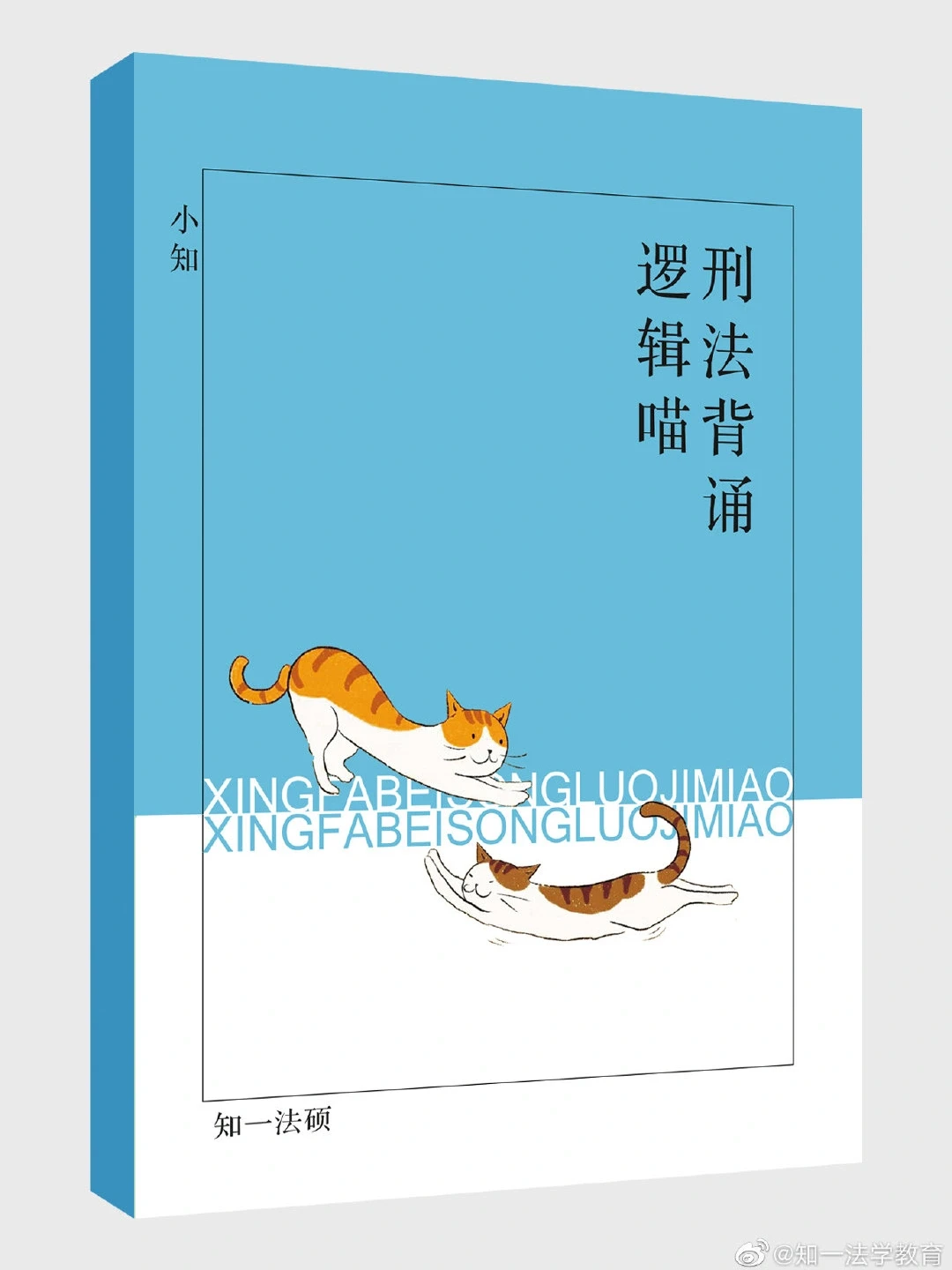 【随手分享】刑法背诵逻辑喵🐱