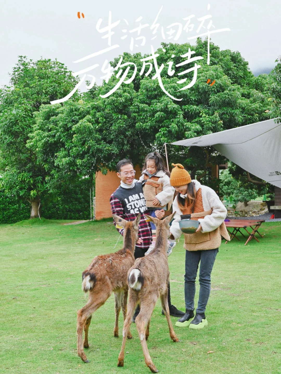 假期请给我流量包充满!假期流量省钱妙招