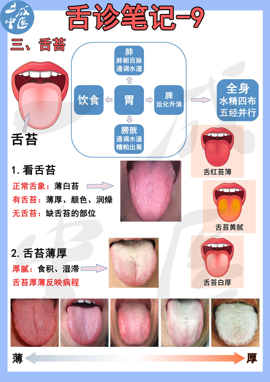 舌诊笔记-舌苔！9-11页