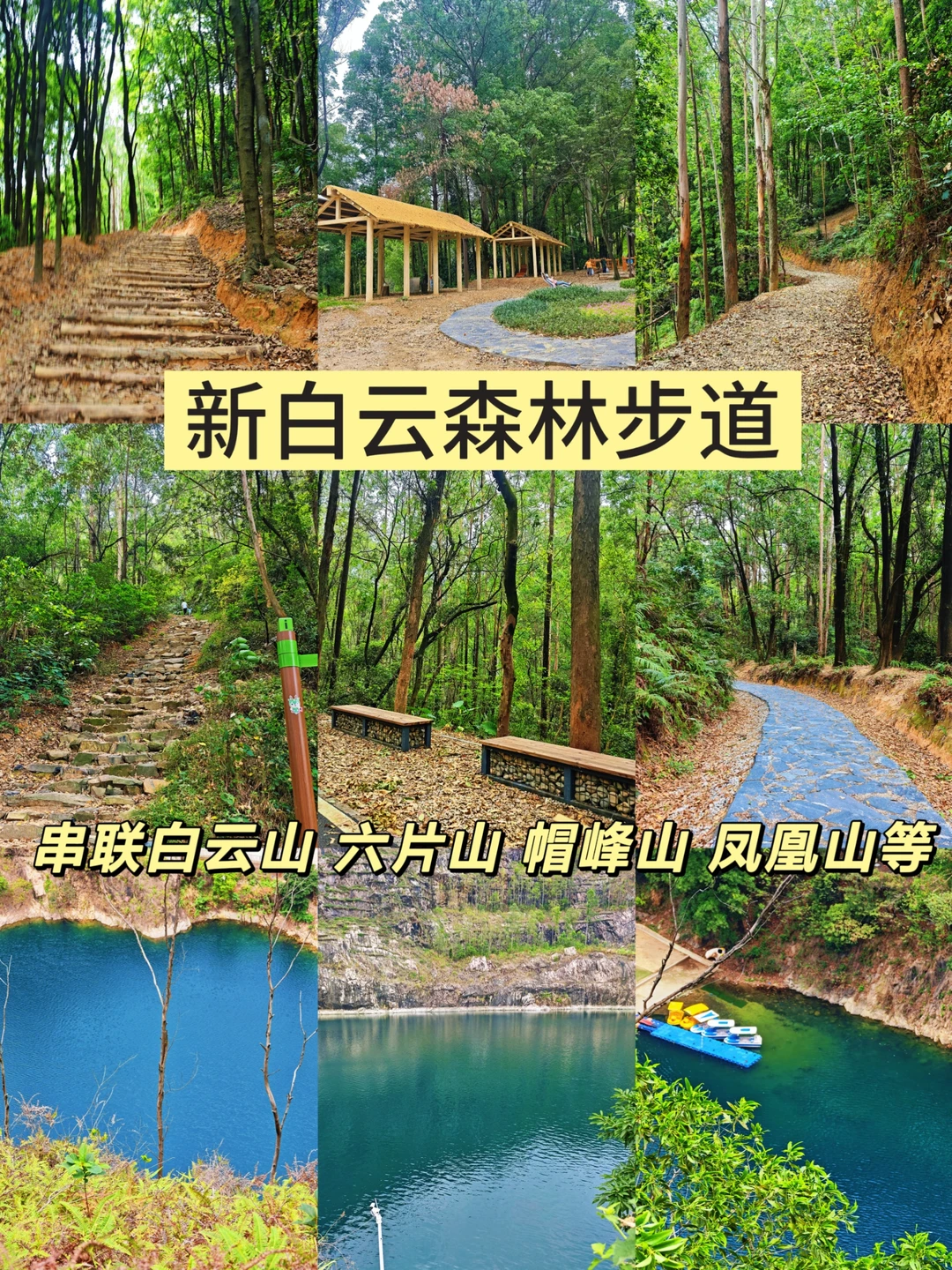 广州40km白云森林步道！森林徒步吸氧路线