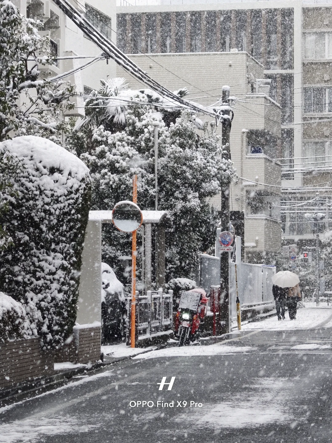 live｜此时此刻东京的大雪