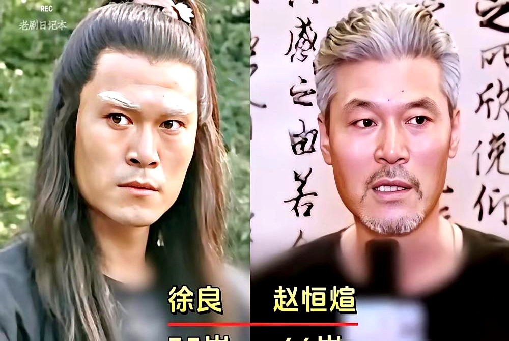 豆瓣7.8分？没吃过生活苦的人，根本看不懂31年前这把金丝大环刀。

当年看徐良砍人只觉得爽，现在重刷，盯着屏幕只想叹气。全剧没一个慢镜头，一招一式全是真把式。

房书安天天贫嘴滑舌，以前觉得他搞笑，现在才看明白，那是一个底层穷鬼为了活命，硬生生从刀尖上舔出来的生存智慧。反倒是白云瑞那一身正气，如今