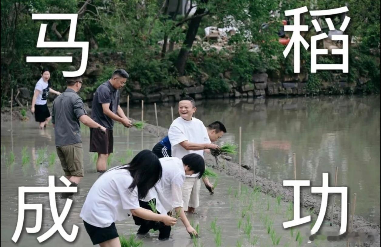 刷到阿里这波插秧团建还挺有感触的。马老师带着阿里集团的核心管理层集体下...