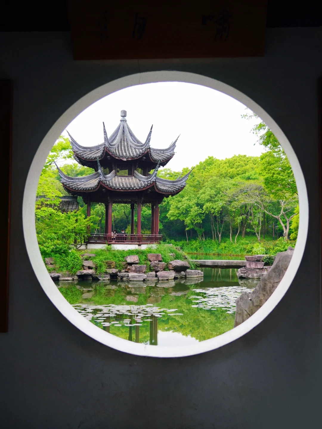 我宣布，这才是真正的现实版游园惊梦❗️