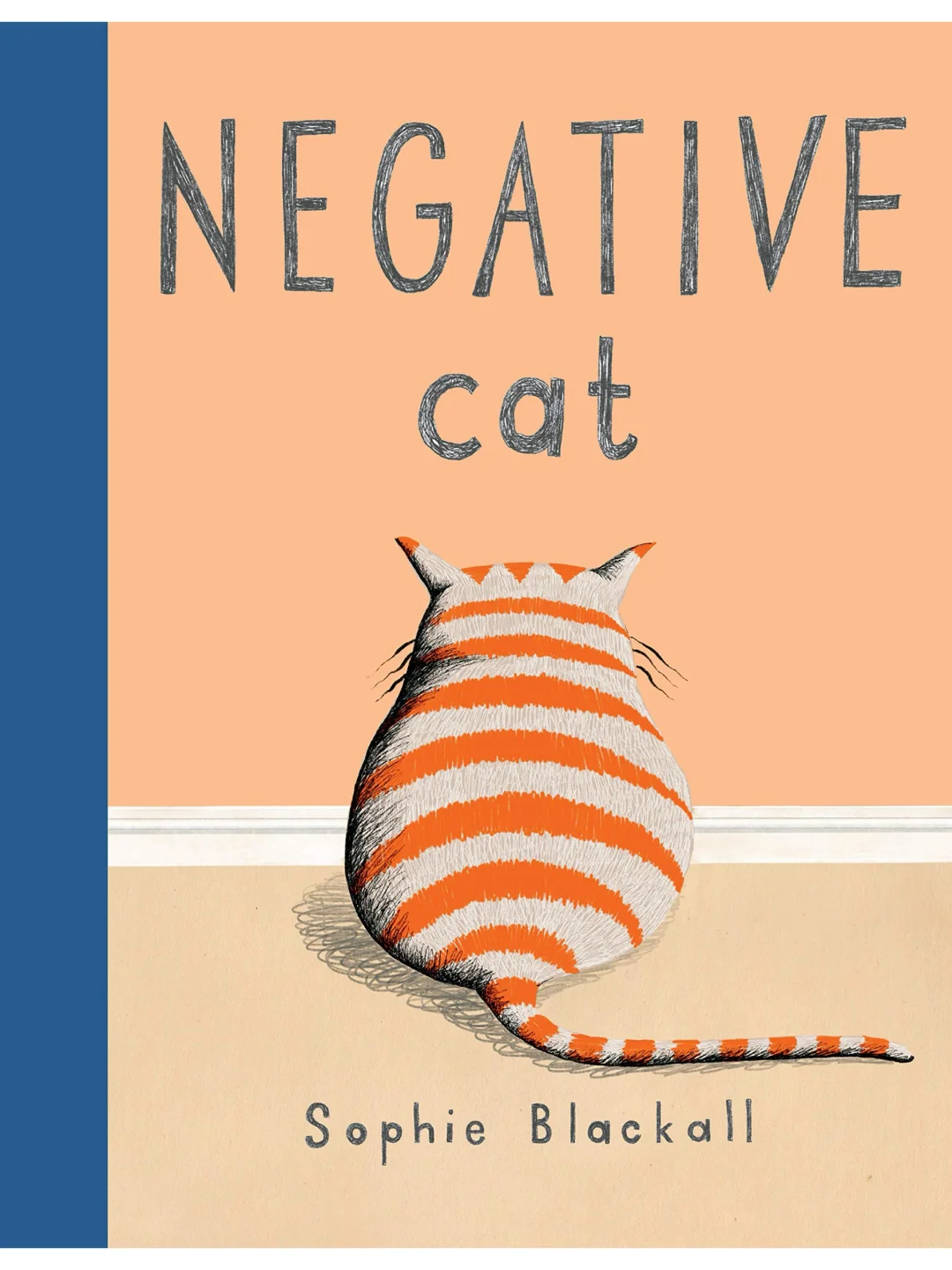 Sophie Blackall |不开心的猫 |接纳与坚持