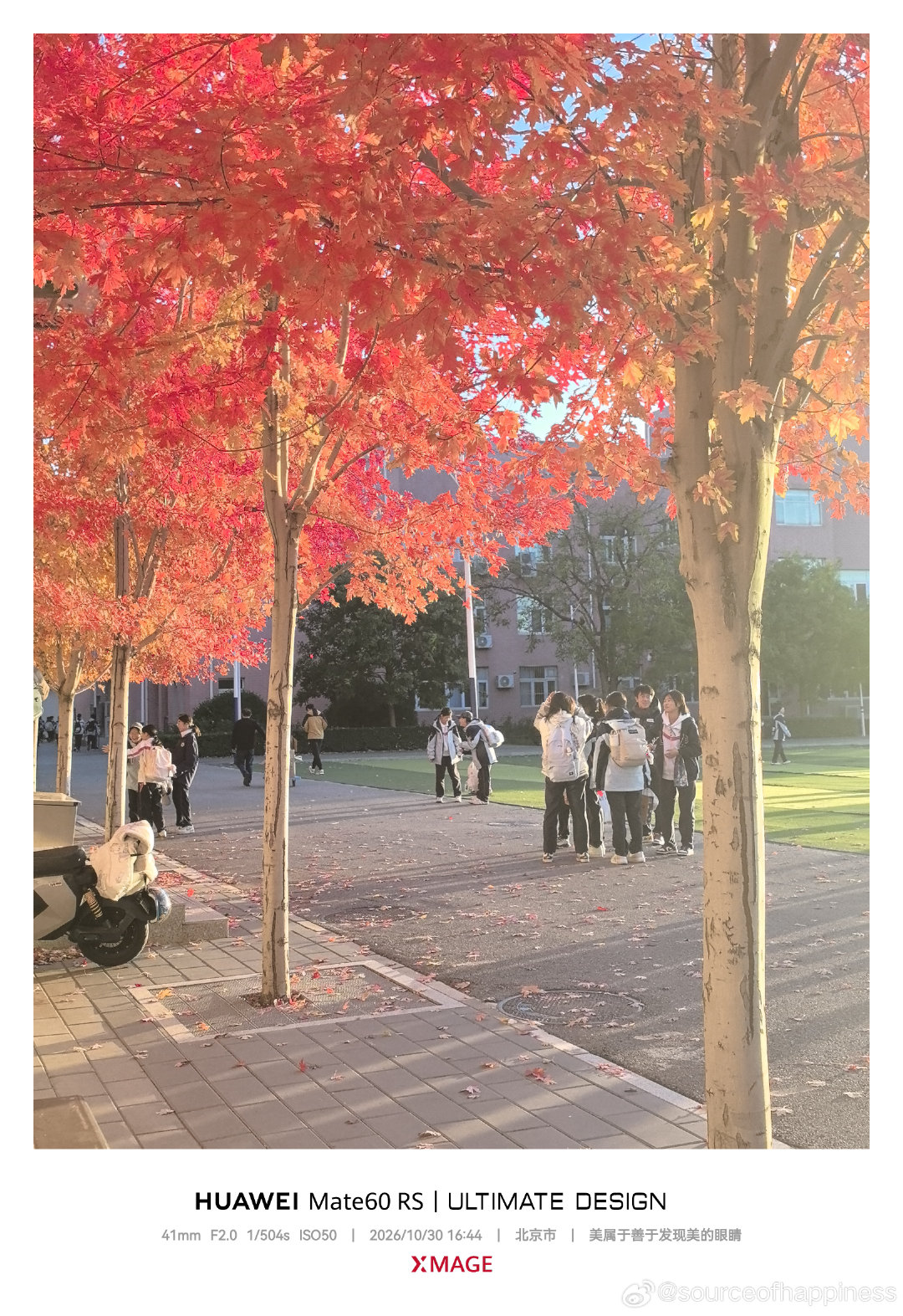 傍晚的这些树在夕阳的映衬下格外红艳，引得学生们纷纷驻足拍照。可是，我还是感觉手机并不能完全捕捉它美，也许只能用眼睛记录。#摄影[超话]#  ​