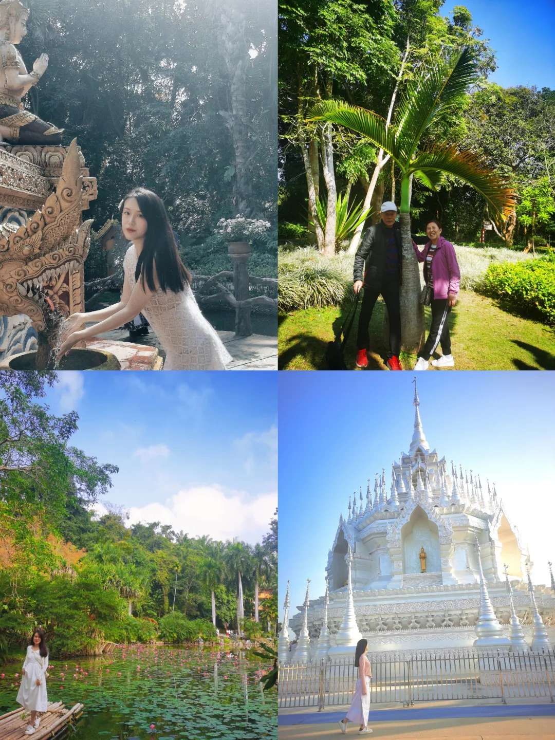 2024年·出行丰收年