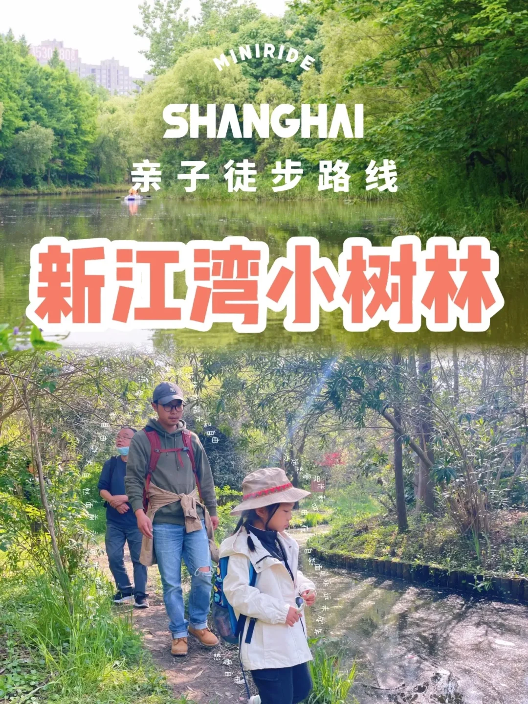 路线攻略｜魔都原生态小路2h徒步亲子友好版