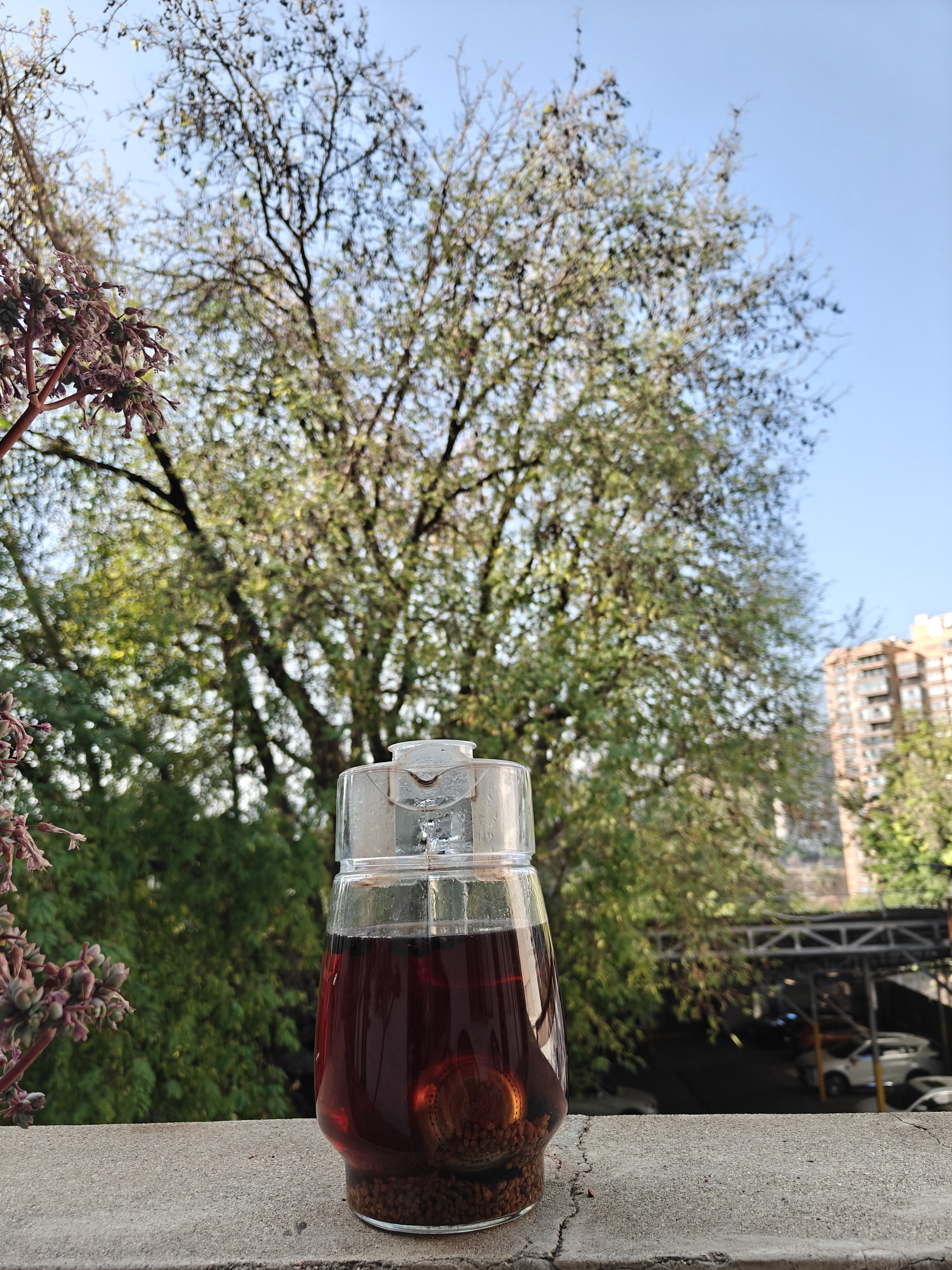 掘金队就要出局了  掘金队1：3落后森林狼（球队站在悬崖边上） 森林狼...