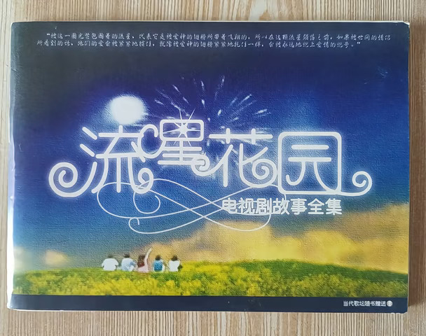《流星花园 电视剧故事全集》