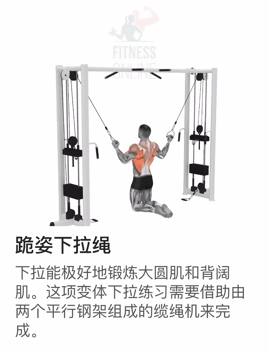 练背7个黄金动作｜用这台器械就能练全背！