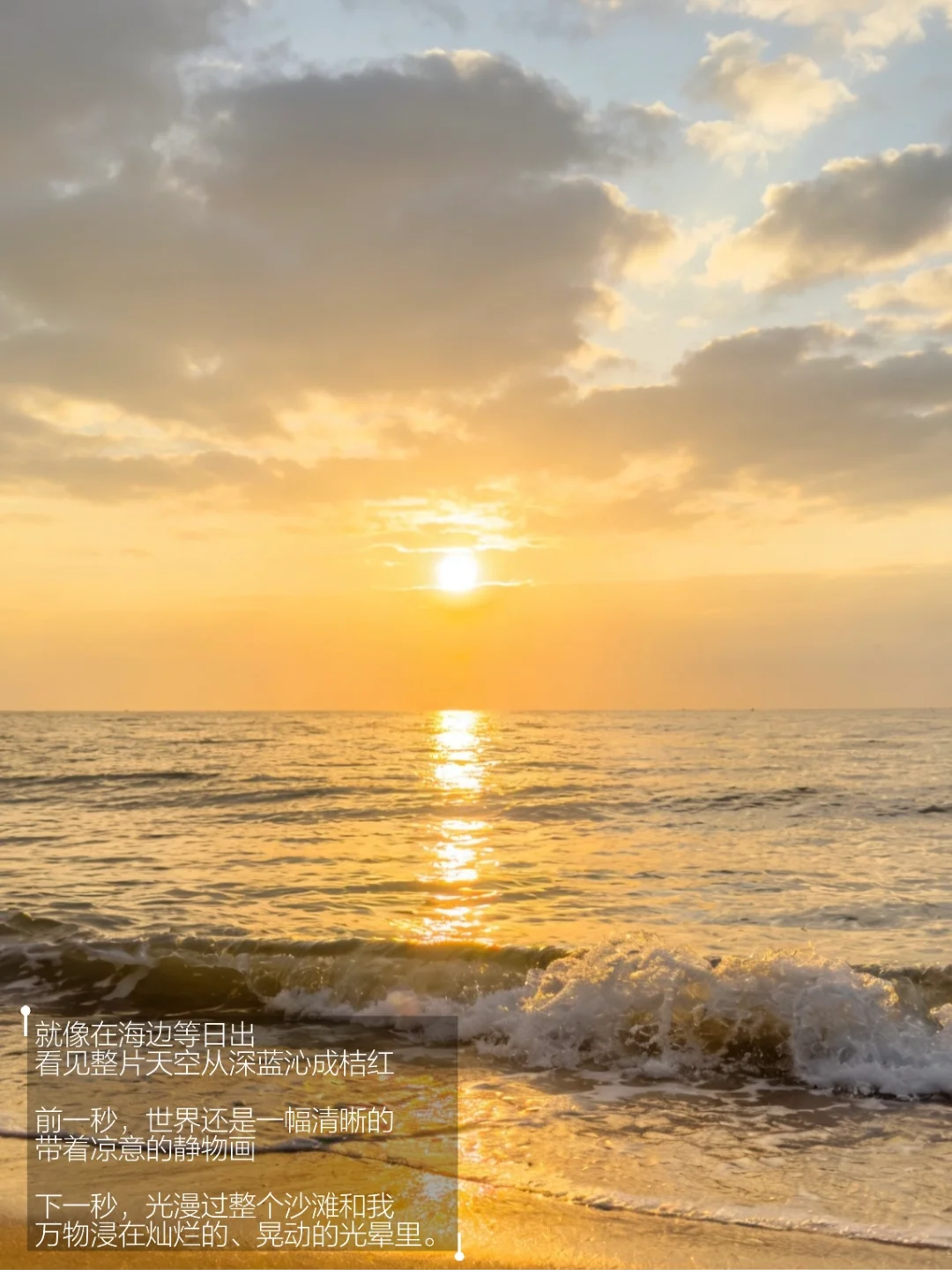 永远会被蓬勃的生命力打动。