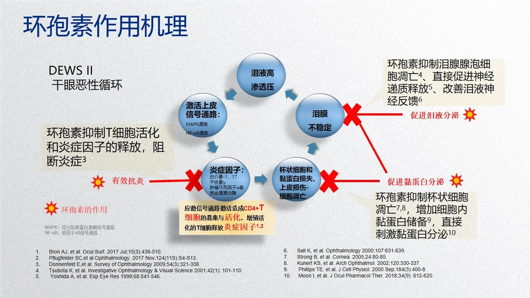 环孢素治疗干眼的原理