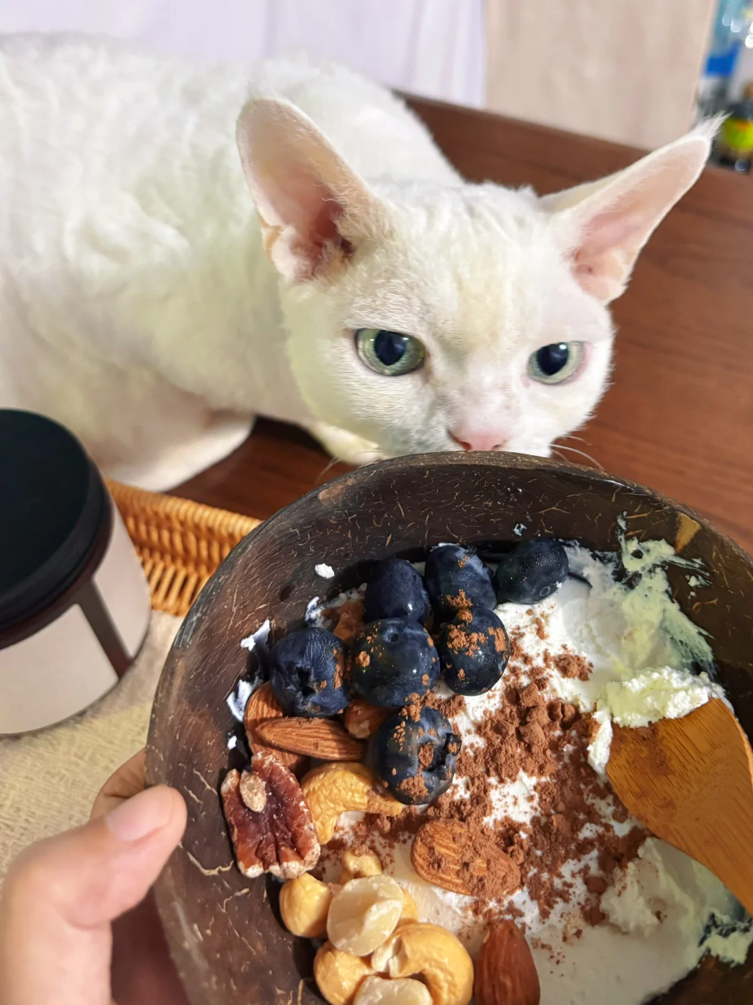 胃口不好，做个酸奶碗吃吧