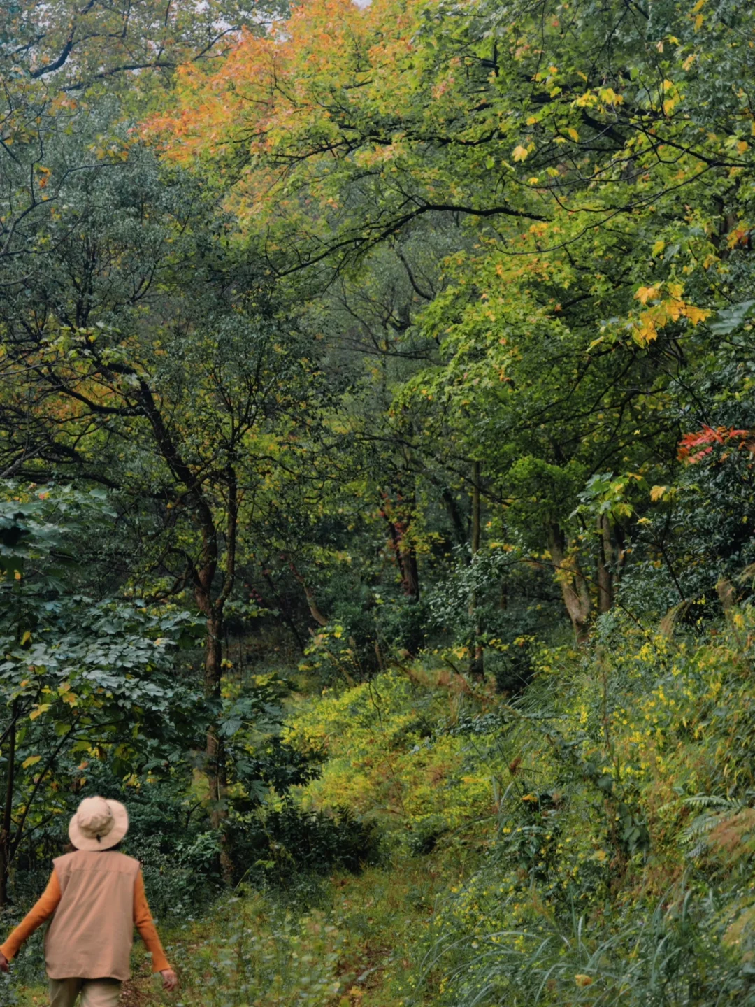 南宁周边枫林露营|开个新帐露个营