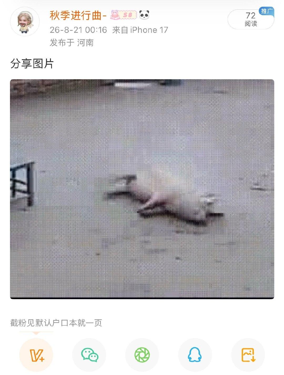 一个人的号上发一个啥意思啊​