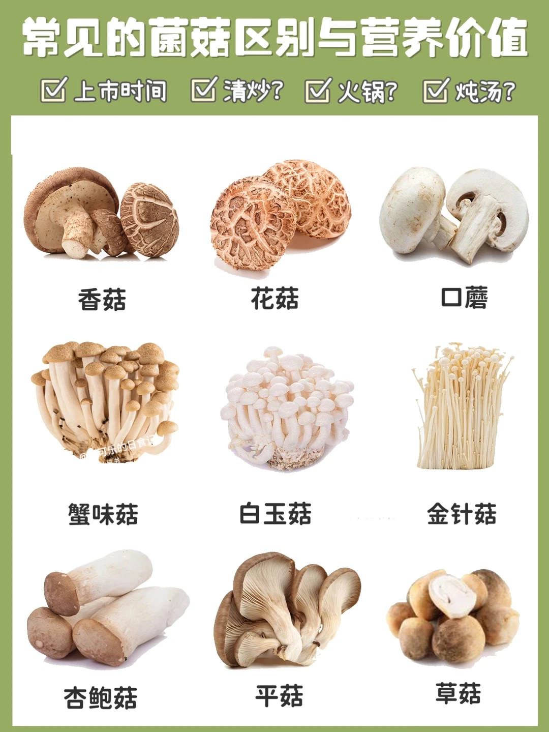 【菌菇说明书】常见菌菇类区别营养价值与做法