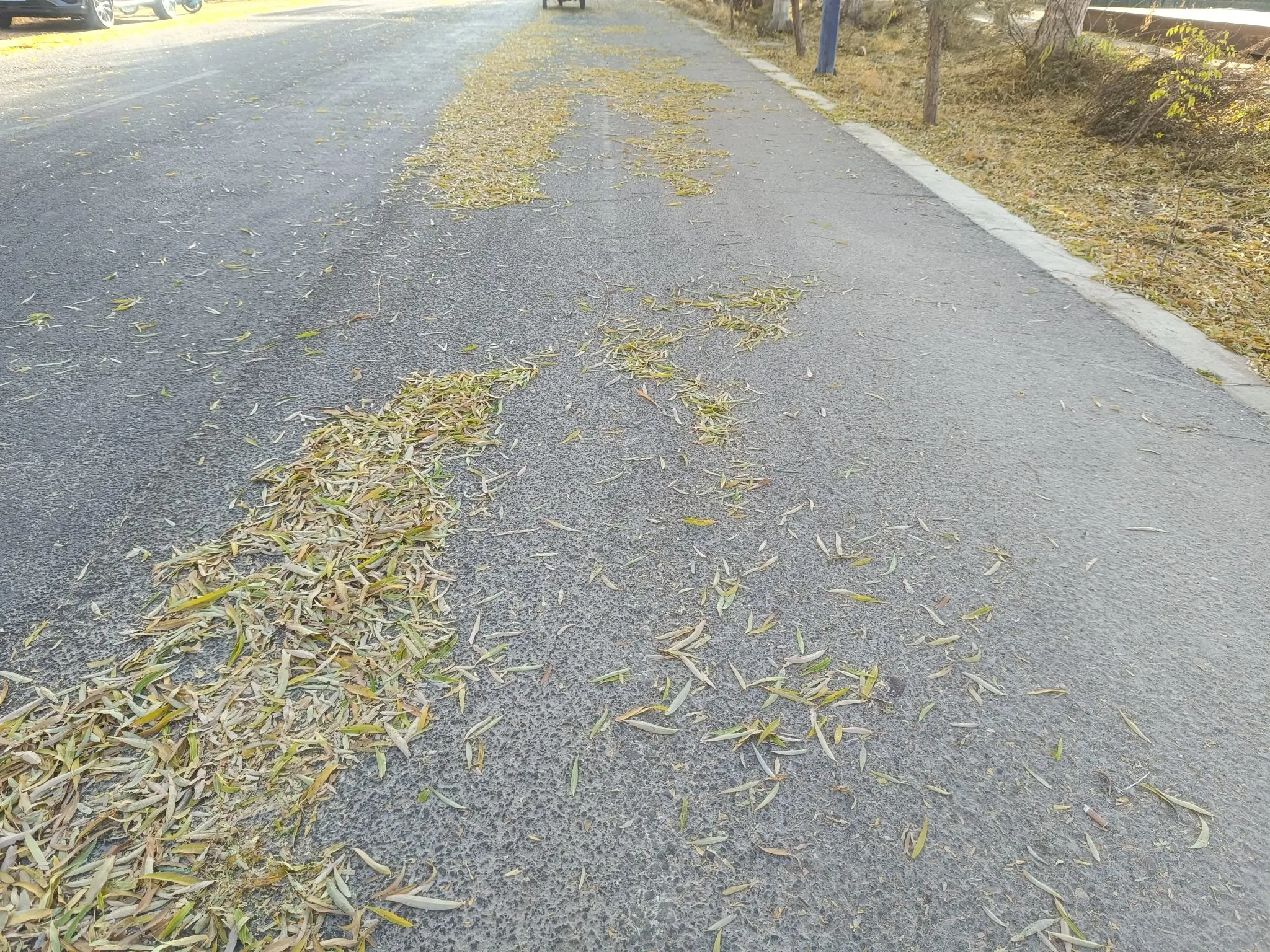 非常释怀的一段话：&;任何关系，比结束更痛苦的，就是拖泥带水的耗着。说...