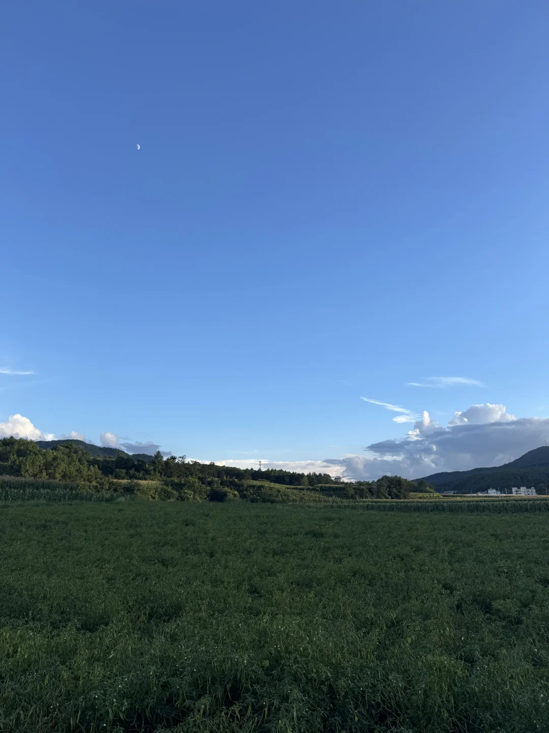 不同玉灵膏差别是很大的‼️我只推荐这种