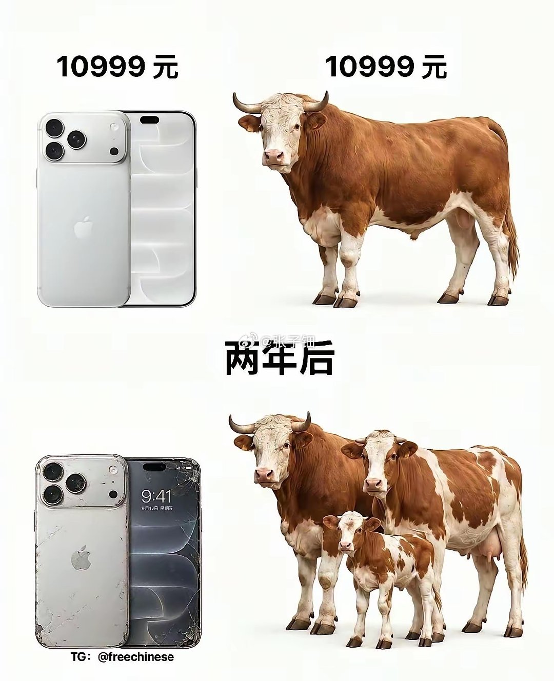 iPhone在自己的国家只卖799 ​