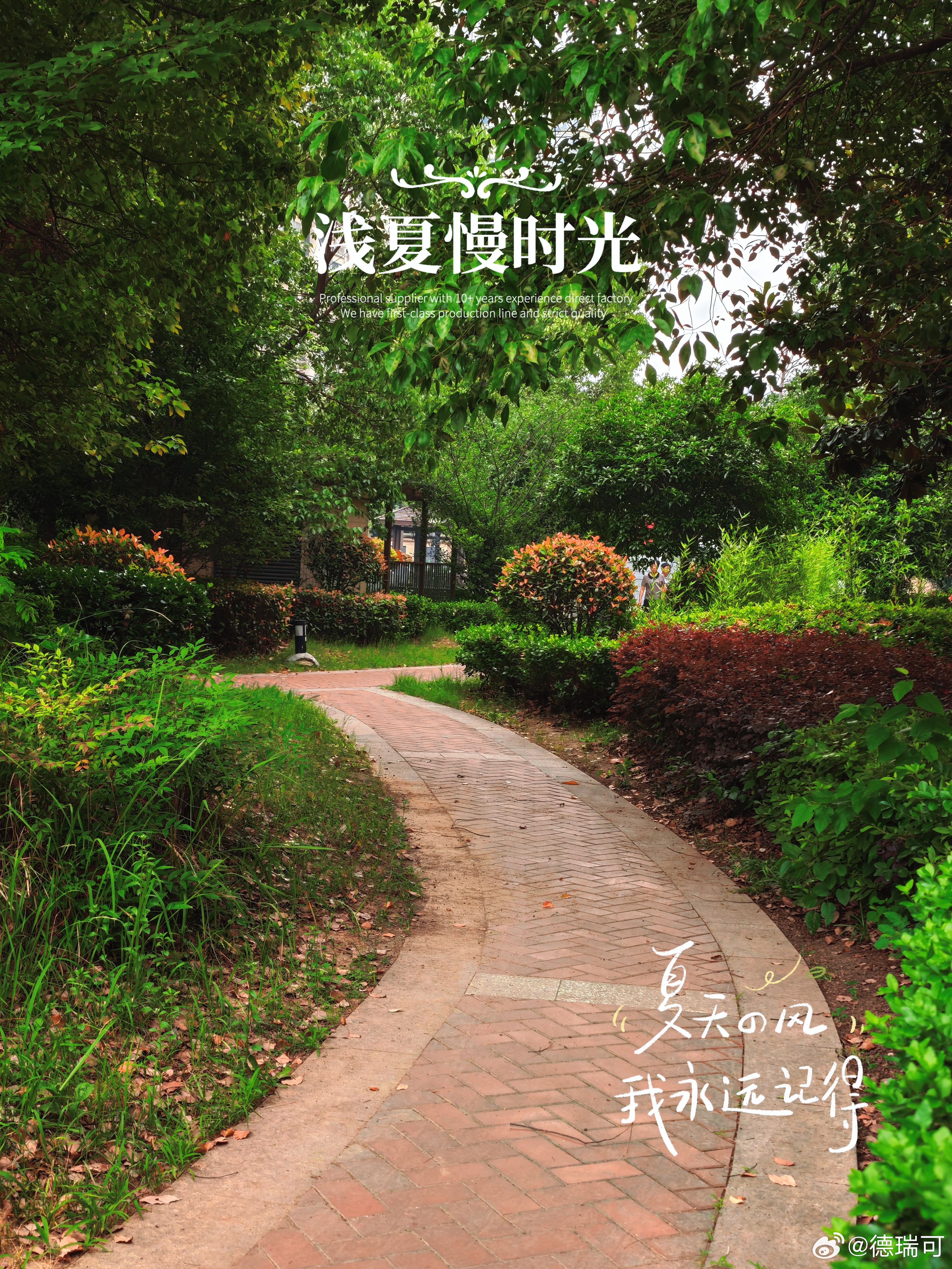 初夏之美，在于春之绚烂渐隐，而夏之浓荫未盛。