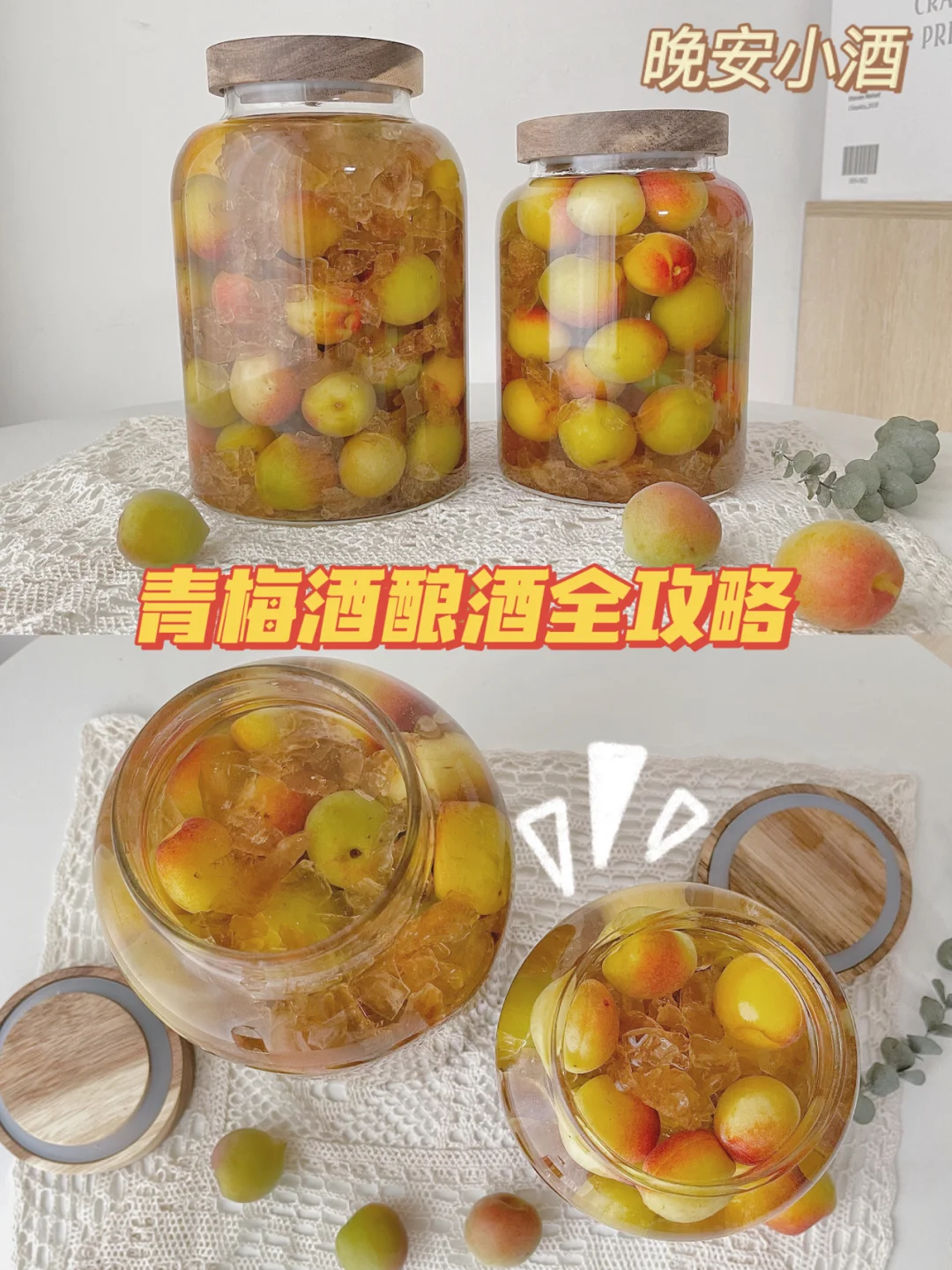 连续3年酿青梅酒攻略‼️酸酸甜甜的晚安小酒