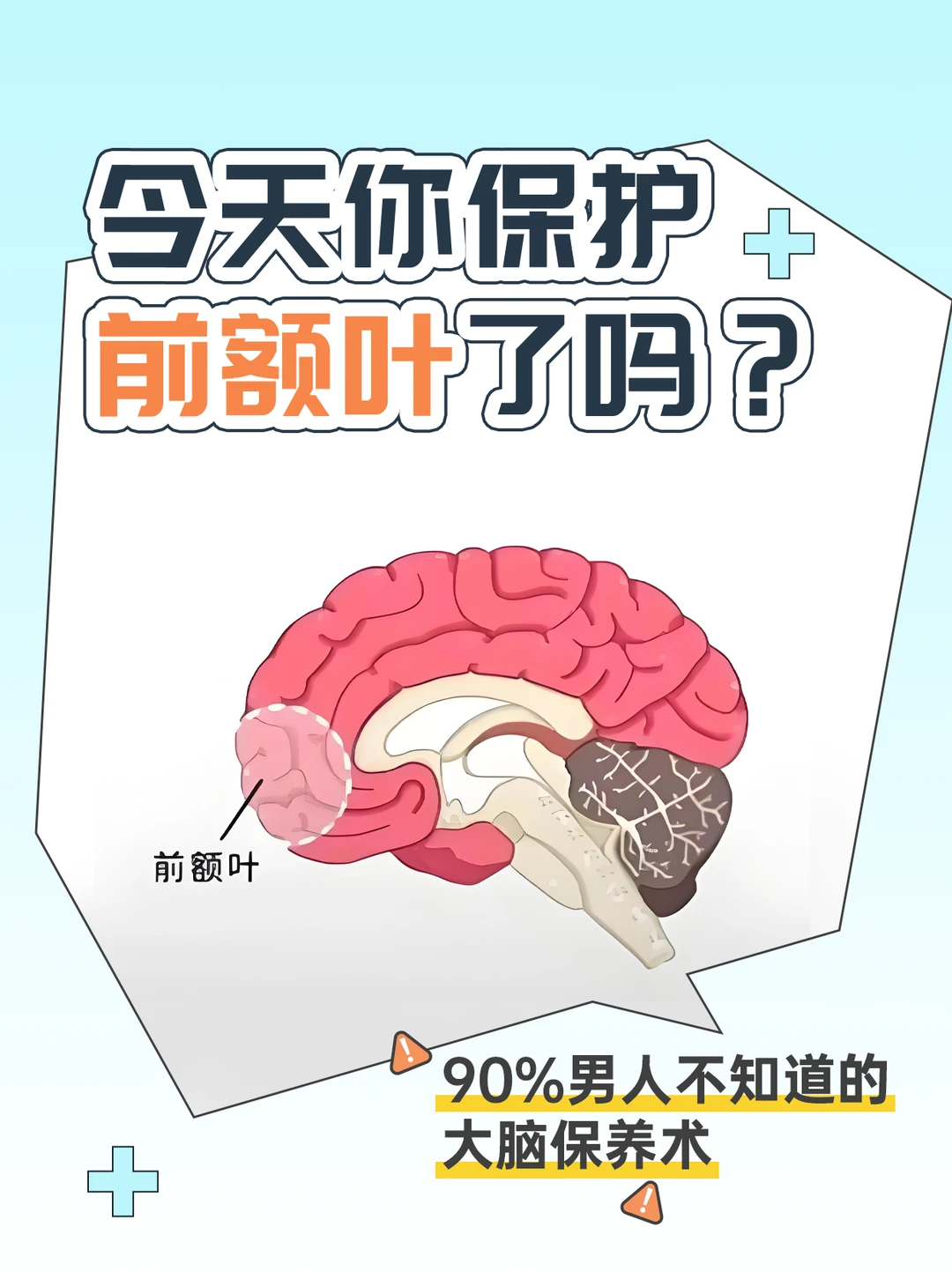 为什么精英都在"保护前额叶"？