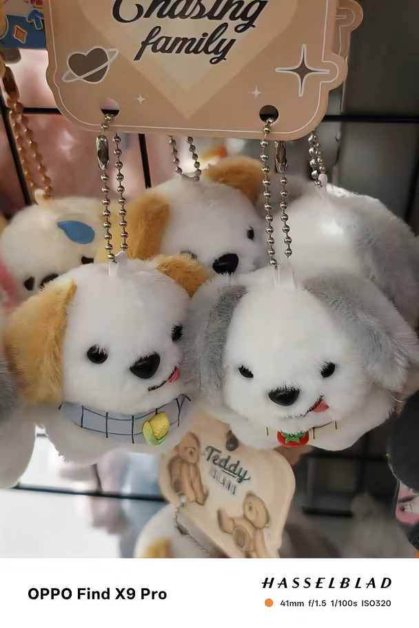 🐶狗狗毛绒挂件，萌化你的每一天