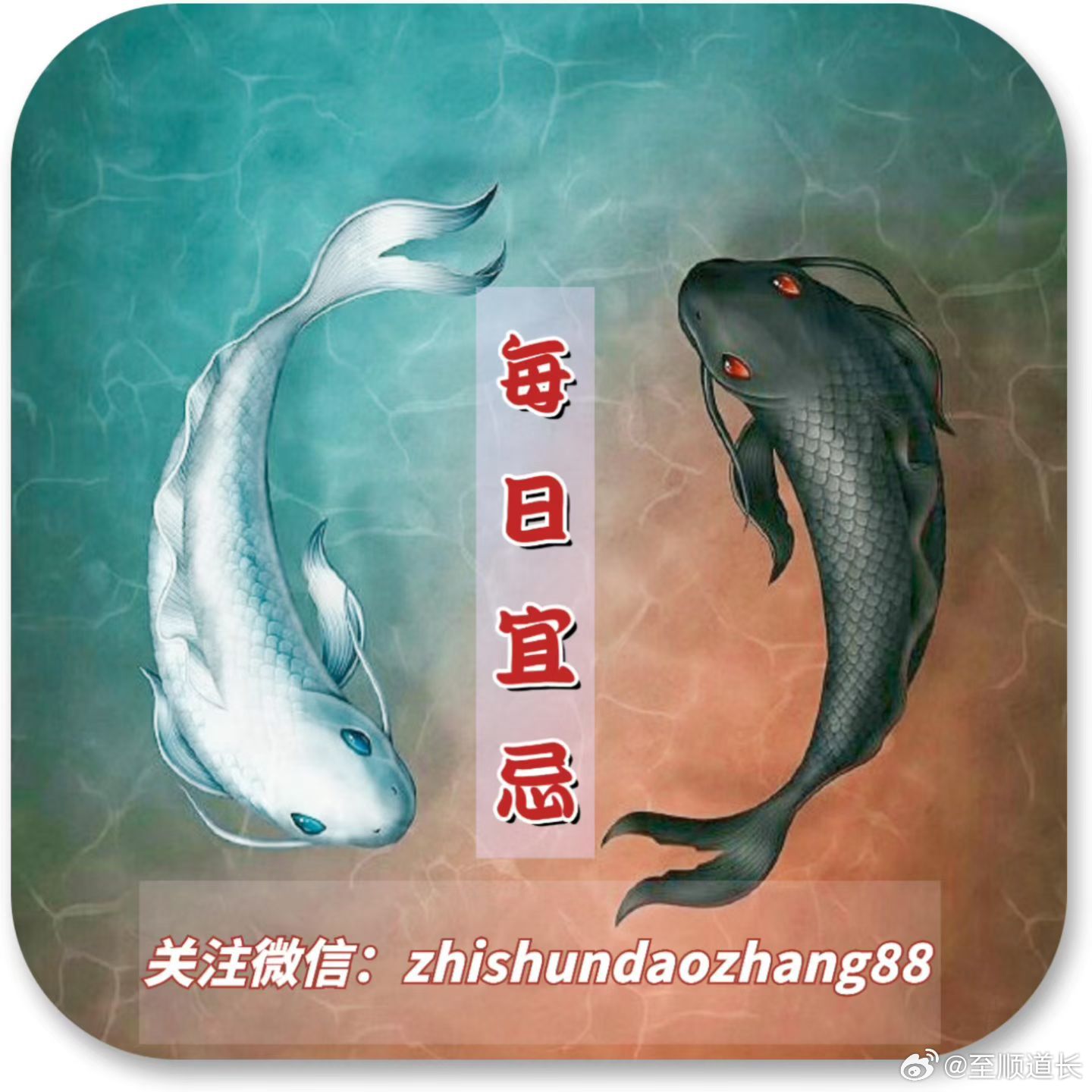 至顺道长[超话] 10月5日。宜祭祀祈福 扫舍 整理 解除消灾 求子 检修 伐木 忌开张 嫁娶 动土占卜。鼠宜应变，礼让，牛开心，虎渐入佳境，兔宜远小人是非，龙贵人运佳，蛇财运佳，马宜和气，羊宜包容理解，猴人缘佳，鸡宜谋定而后动，狗宜劳逸结合，猪宜接触新事物。 ​​​