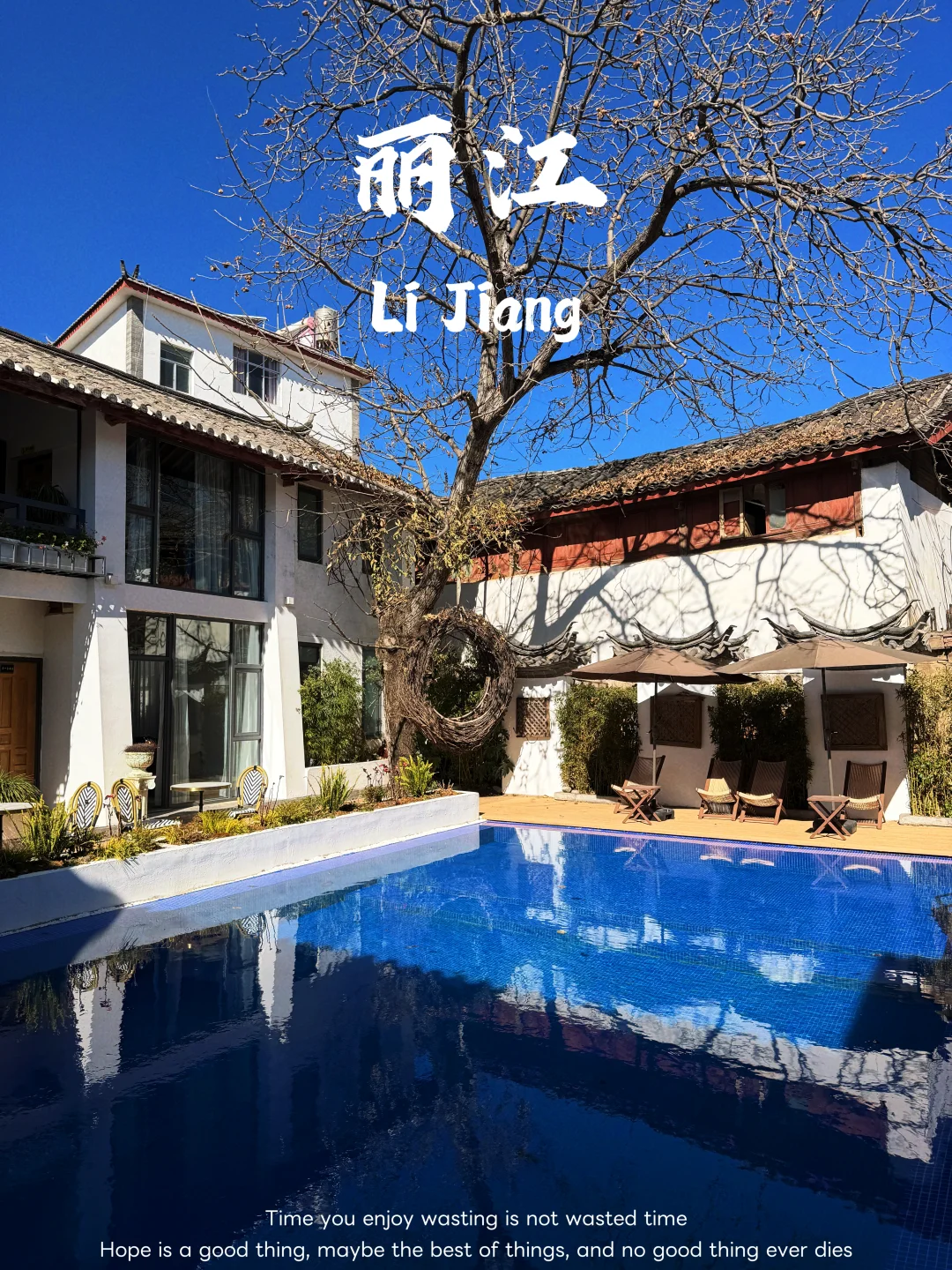 🌿 束河这家民宿，人均100+住进莫奈花园