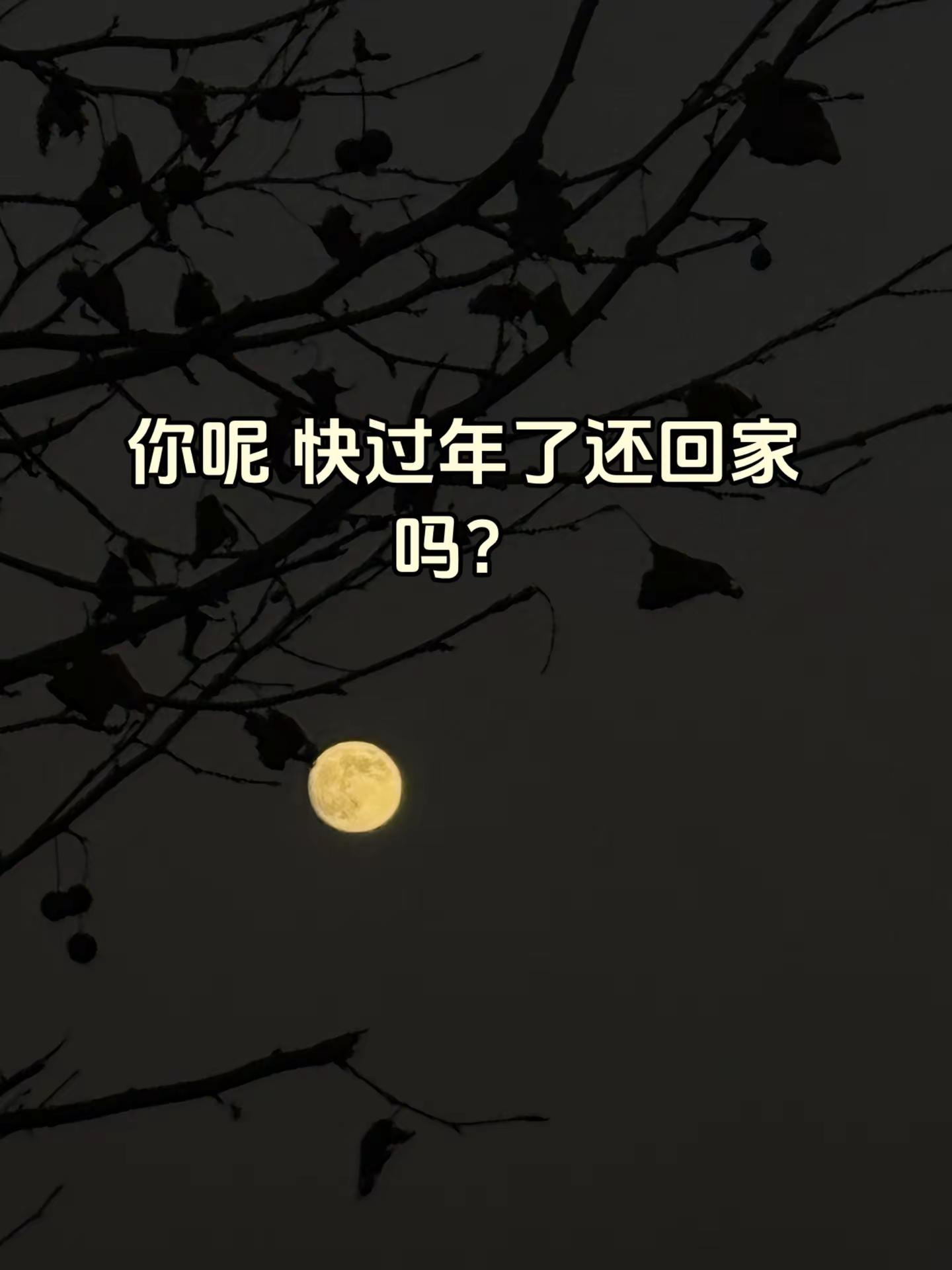 <p>情感共鸣 <!--{img:0}--></p><img src=...