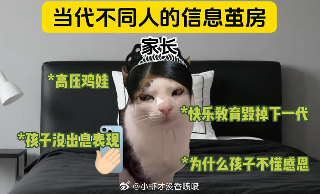 咱们在一个信息茧房里吗[哇] ​