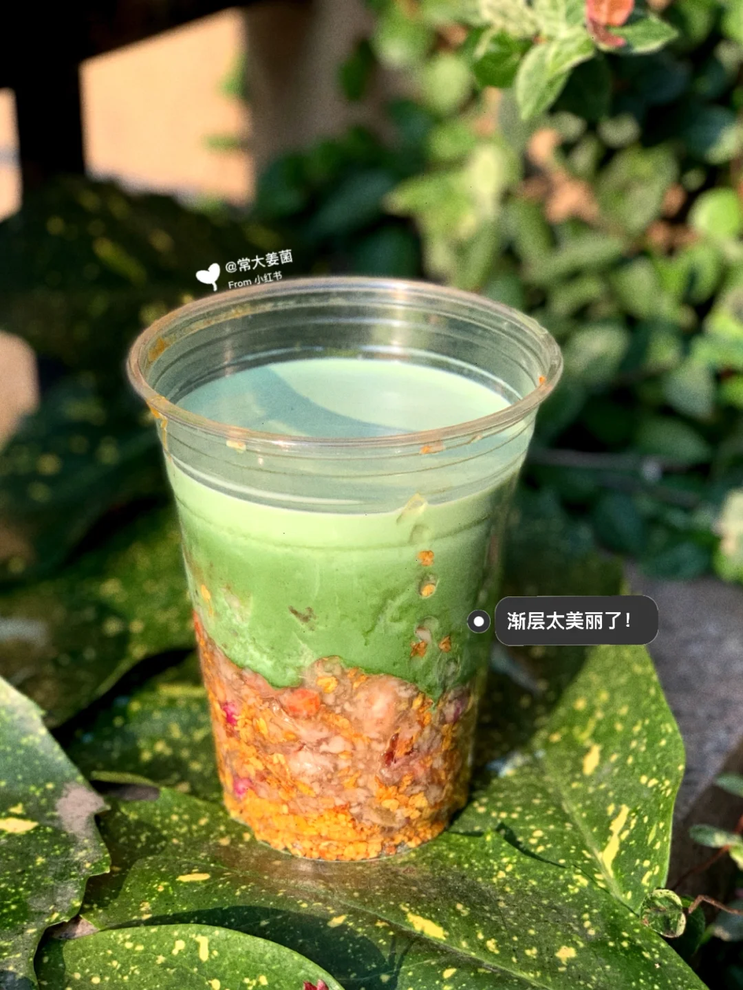 秋季恩赐！桂花藕粉抹茶拿铁&柿子抹茶拿铁🍵