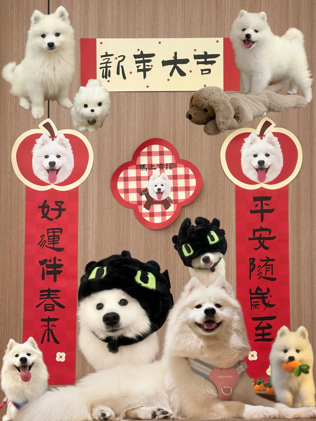 恭喜你打开就刷到了好运小狗