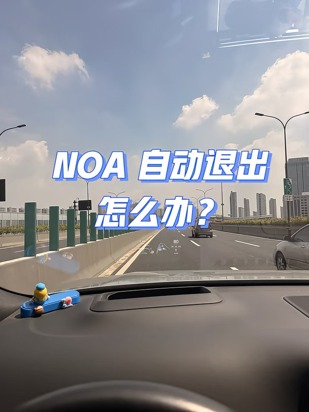 遇到NOA自动退出了，怎么办