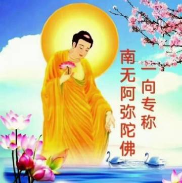 只会一句佛号 瑞相惊度全村<br /><br />随着世缘已尽，父亲身...