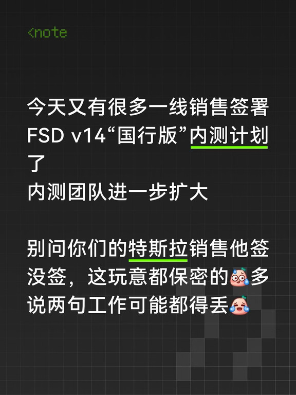 特斯拉FSD v14内测团队扩大