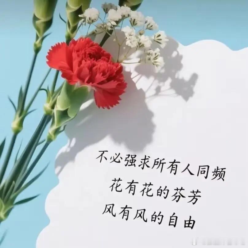 人性规则19条：1．见过世面的男人，不缺女人。2．见过世面的女人，不爱男人。3．穷人在女人眼里，就是废物。4．女人在富人眼里，就是玩物。5．富人在权力面前，就是猎物。6．权力在枪炮底下，就是经济作物。7．有钱人，最大的财富是穷人。8．最稳定的人际关系，是大家各取所需。9．家庭的第一核心，是经济，而不是感情。10．职场的第一准则，是价值，而不是努力。11．社交的第一关键，是利益互换，而不是友谊。12．所有的玩笑，都有可能是真。13．酒喝不出真朋友，只会喝垮了身体。14．脸皮厚的人，起码不会受委屈。15．漂亮的人，永远会受到这个世界的优待。16．天下有两难：登天难，求人难。17．表现越完美的人，越不值得信任。18．任何关系，只要看得太重，必然会失去。19．人穷不要提建议，说出来都是空气。