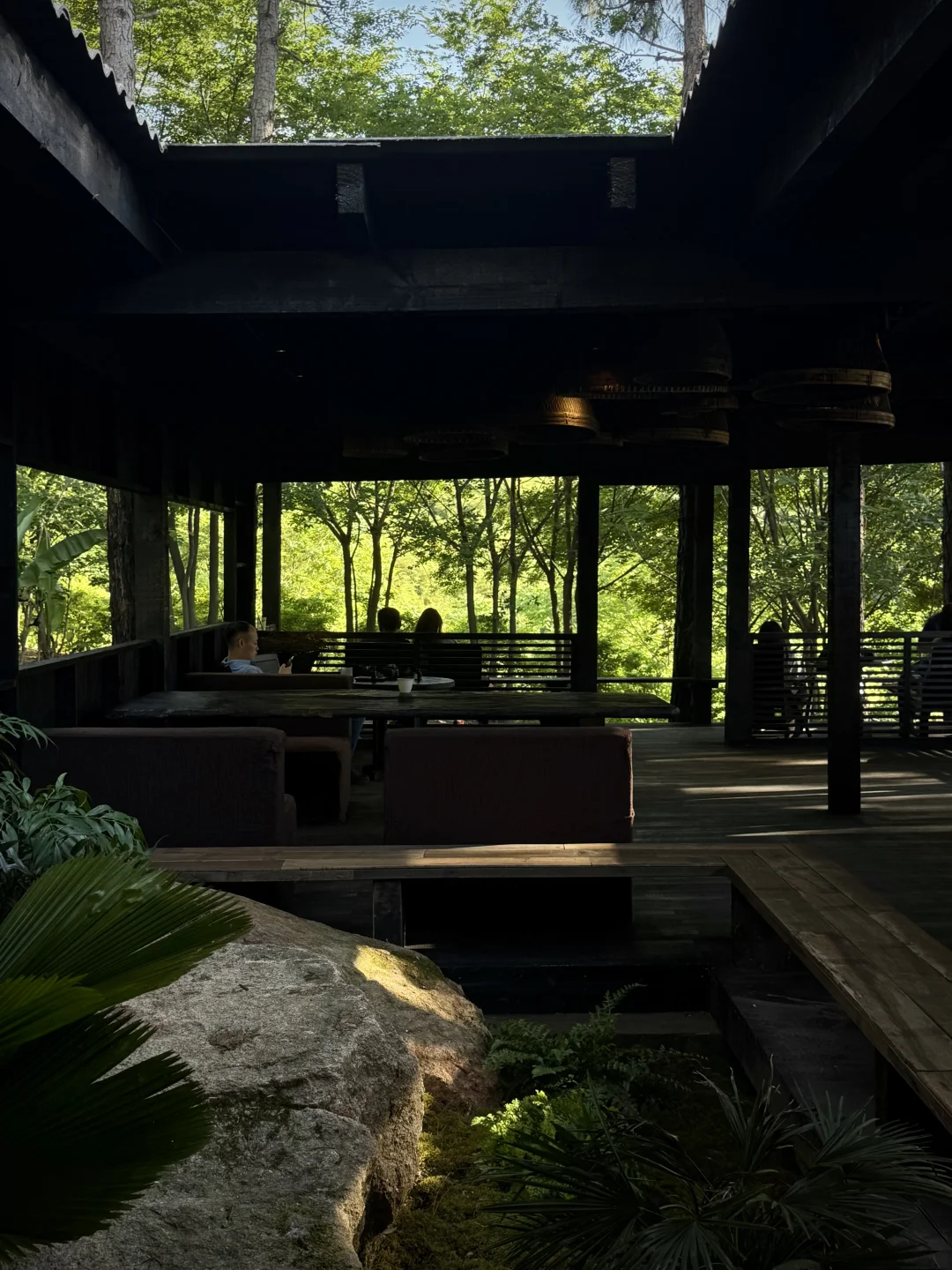 杭州新店｜藏在山里的丛林木屋咖啡馆🌲☕️