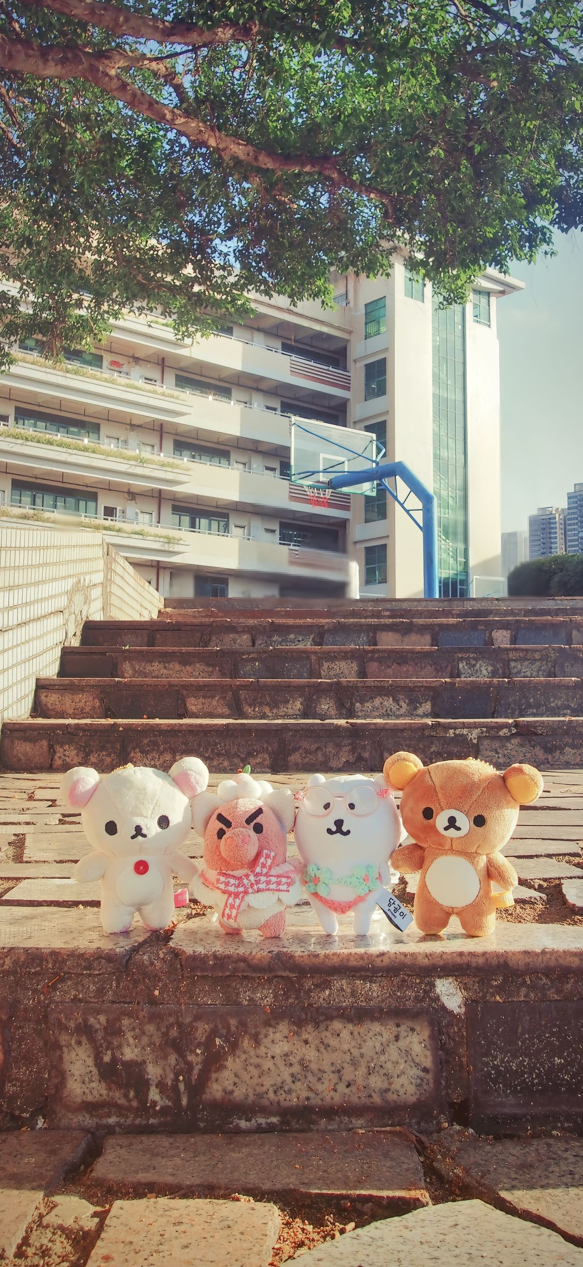 换新锁屏壁纸啦！ 

#金秋壁纸大放送# ​
