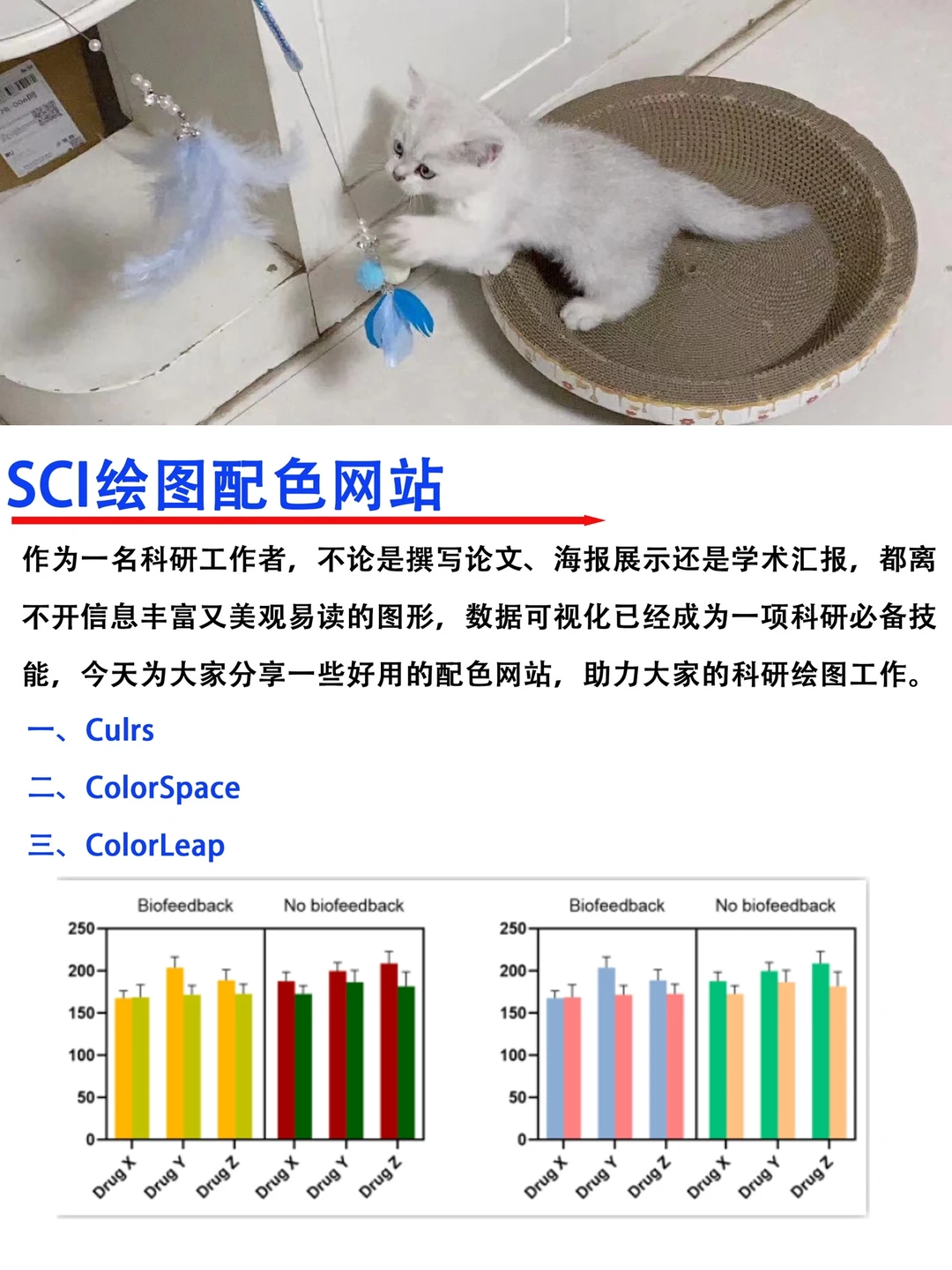 🔥科研大佬都在用的科研绘图配色｜网站分享