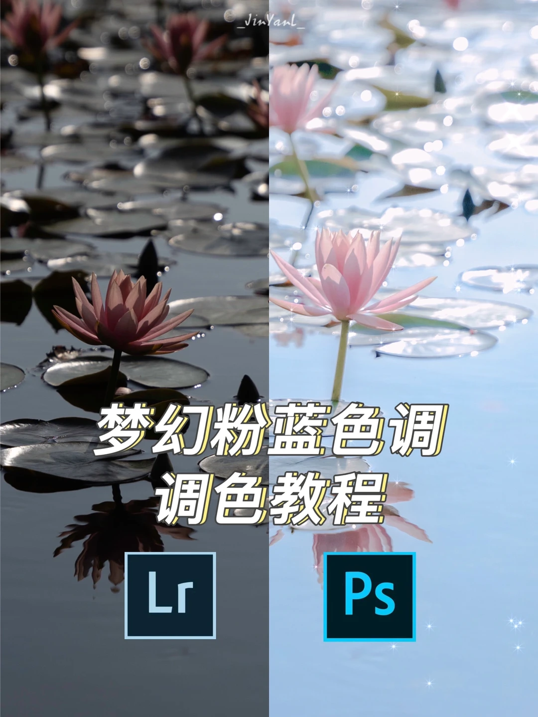 调色教程｜如何调出晶莹剔透的粉蓝色睡莲⁉️