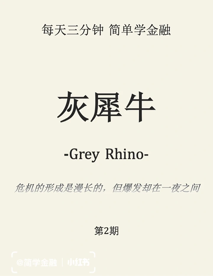 简学金融第2期: 灰犀牛