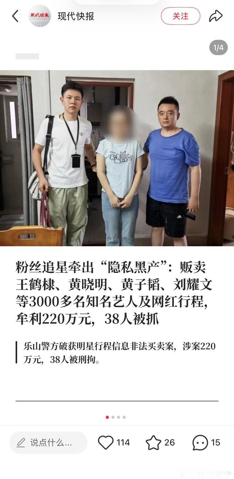 打击黑产的。 之前的抓捕的黑子的结果了。 ​