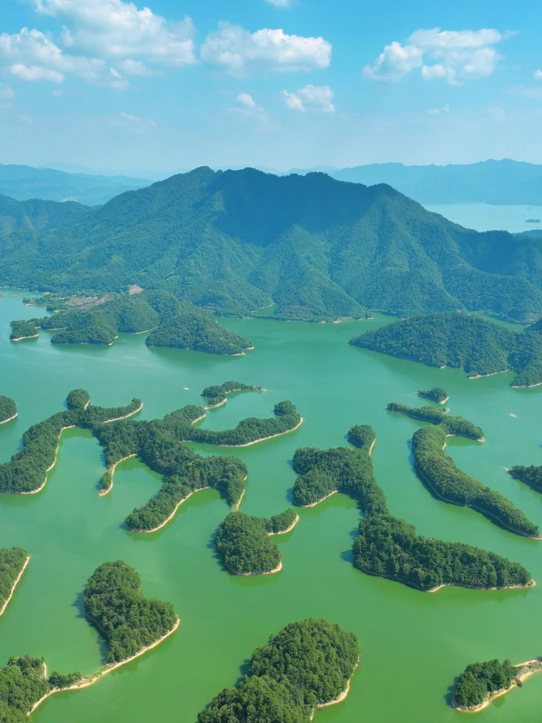 千岛湖｜第一次来就看这篇攻略✔️站点巴士